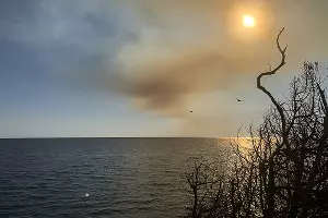 Пожар в заповеднике «Утриш» &copy;&nbsp;Фото Виталия Кавтарадзе