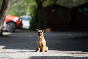  &copy;&nbsp;Фото Елены Синеок, Юга.ру