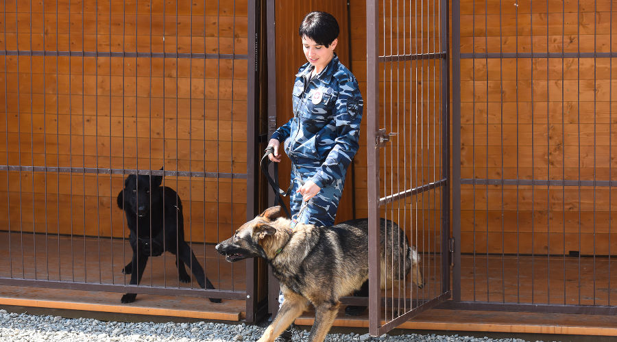  © Фото Елены Синеок, Юга.ру