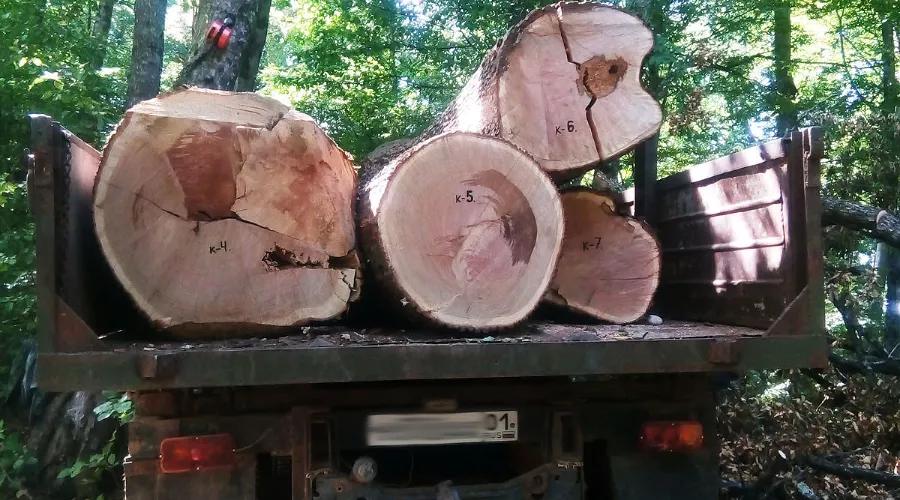  &copy;&nbsp;Фото пресс-службы ГУ МЧС России по Республике Адыгея