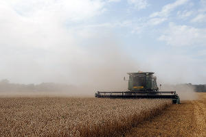 Уборка урожая пшеницы на Кубани © Николай Хижняк, ЮГА.ру