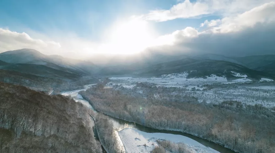  &copy;&nbsp;Фото quatroxproduction, freepik.com