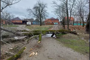 &copy;&nbsp;Скриншот из телеграм-канала главы республики Адыгея Мурата Кумпилова https://t.me/muratkumpilov/8563