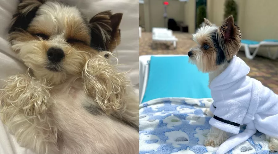  &copy;&nbsp;Фотографии Юга.ру предоставила Диана Пестова