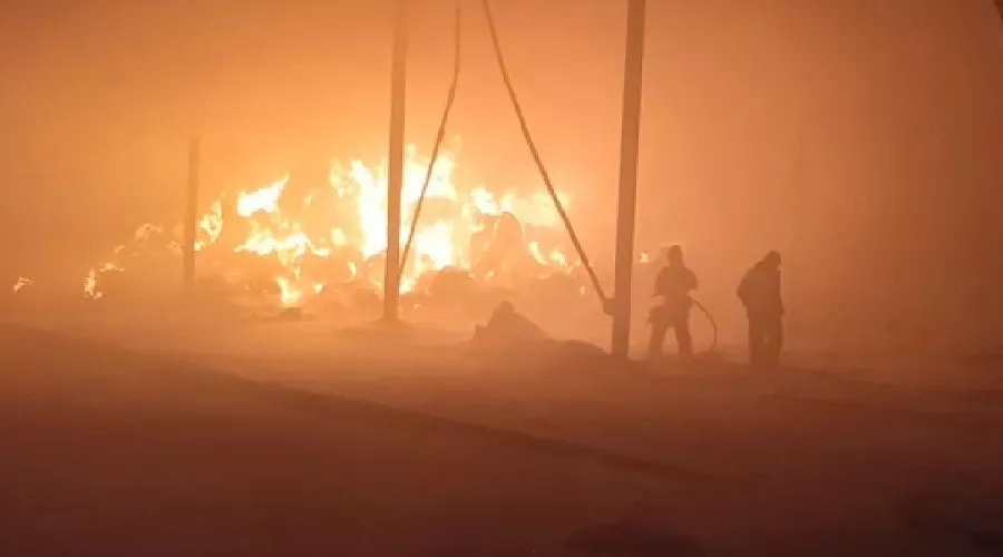  &copy;&nbsp;Скриншот видео пресс-службы ГУ МЧС России по Краснодарскому краю