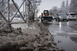 Снег в Краснодаре © Фото Елены Синеок, Юга.ру