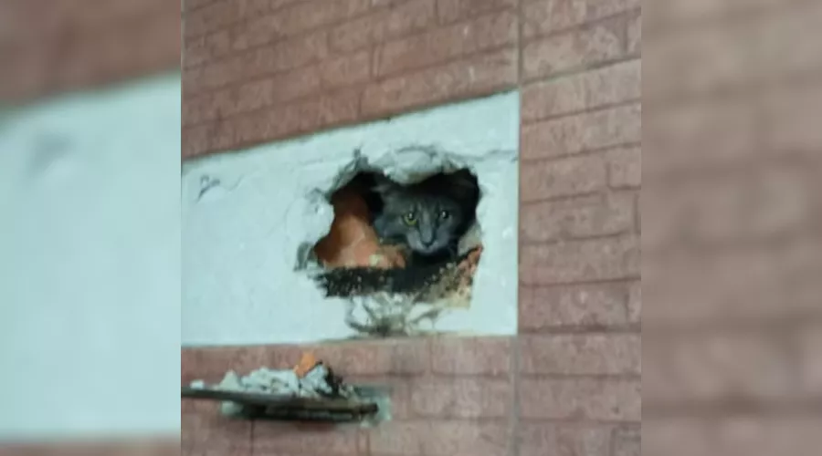  &copy;&nbsp;Фото Алексея Одерова instagram.com/alekseioderov