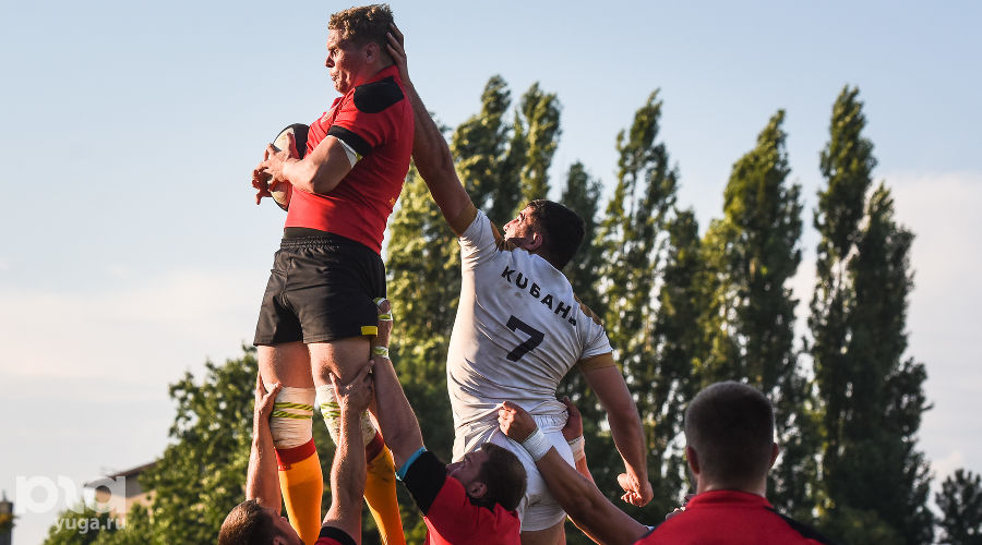  © Фото Елены Синеок, Юга.ру