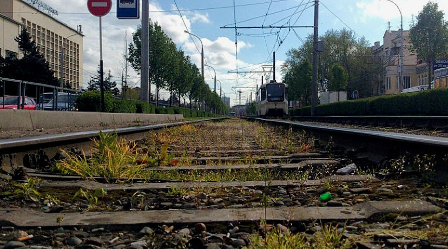  © Фото пресс-службы администрации Краснодара