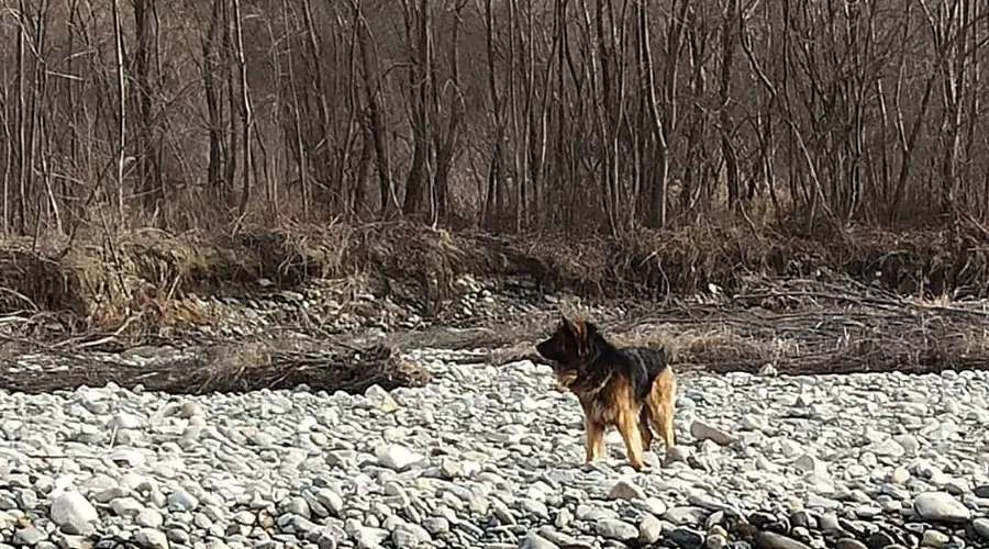  &copy;&nbsp;Фото из инстаграма ГКУ &laquo;Кубань-СПАС&raquo;, instagram.com/kuban_spas/