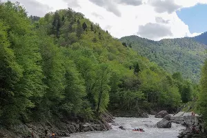  &copy;&nbsp;Фото Нины Зотиной, Юга.ру