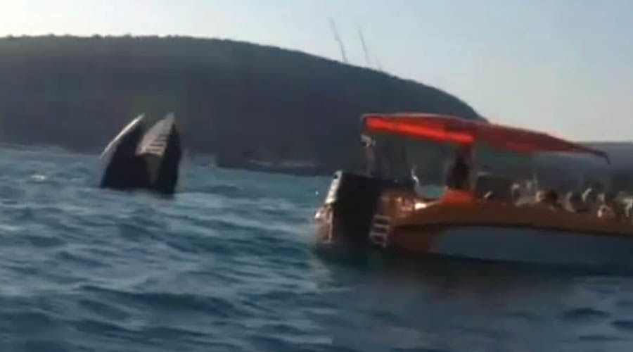  &copy;&nbsp;Кадр из видео группы ВКонтакте &laquo;RU_CHP: Первый по происшествиям&raquo;, vk.com/ru_chp