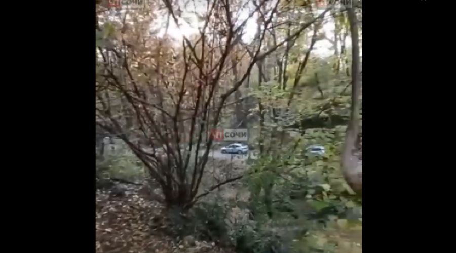 Город сочи. Олимпийский парк сочи. Утопленники в черном море. Утопленники в черном море. Сочи нашел телефон.