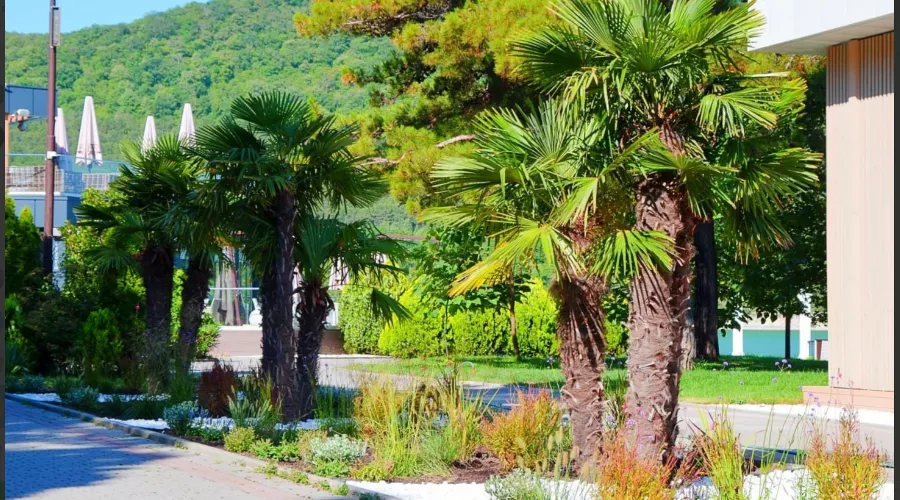  &copy;&nbsp;Скриншот фото из телеграм-канала &laquo;Администрация МО город-герой Новороссийск&raquo;