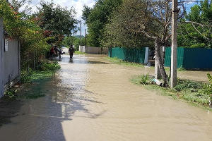  © Фото Эмира Кубединова