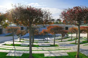 Амфитеатр парка «Краснодар»  &copy;&nbsp;Фото пресс-службы ФК &laquo;Краснодар&raquo;