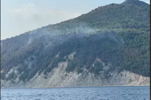  &copy;&nbsp;Скриншот из телеграм-канала мэра Геленджика Алексея Богодистова https://t.me/BogodistovAA/7332