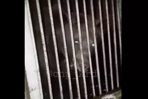  &copy;&nbsp;Скриншот из видео youtu.be/y3vVmUku-UI