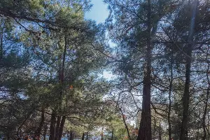 Веломаршрут из Кабардинки в Голубую бухту Геленджика &copy;&nbsp;Фото Романа Кокорина