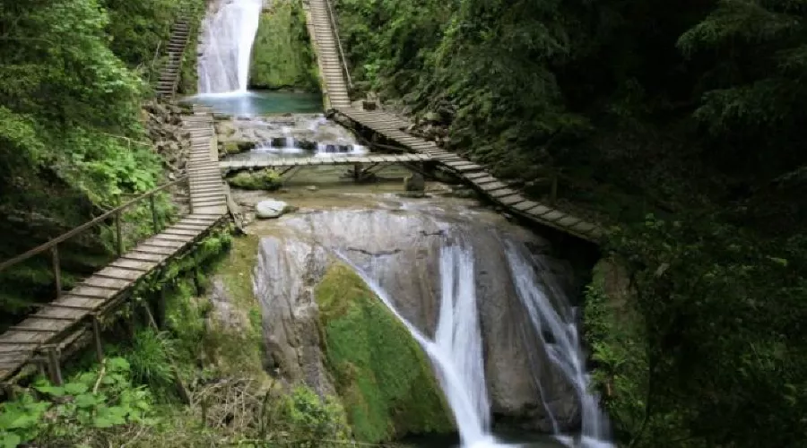 Сочинский национальный парк &copy;&nbsp;Фото с сайта sochi.com