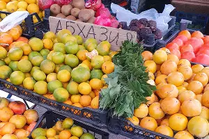  &copy;&nbsp;Фото Марины Солошко Юга.ру