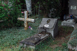  © Фото Юли Шафаростовой, Юга.ру