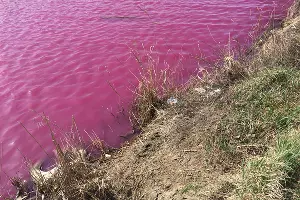  &copy;&nbsp;Фото Александра Гончаренко, Юга.ру