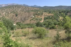  &copy;&nbsp;Фото пресс-службы СУ СК РФ по Республике Крым