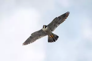  &copy;&nbsp;Фото пресс-службы банка Уралсиб