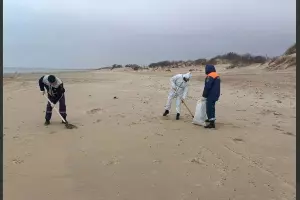  &copy;&nbsp;Скриншот фото из телеграм-канала &laquo;Оперативный штаб - Краснодарский край&raquo;