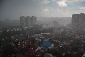  &copy;&nbsp;Фото Елены Синеок, Юга.ру