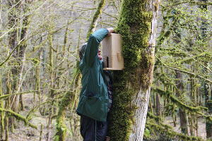  © Фото пресс-службы Сочинского нацпарка
