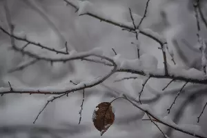  &copy;&nbsp;Фото Елены Синеок, Юга.ру