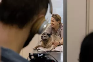 Ветеринарный центр «ВотВЕТе» в Ростове-на-Дону &copy;&nbsp;Фото Сергея Верещак