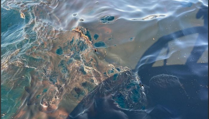 Владелец судна заплатил 14 млн рублей за разлив нефти в Новороссийске