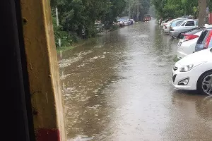  &copy;&nbsp;Фото из аккаунта в Instagram, instagram.com/tipich_krd