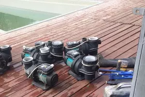  &copy;&nbsp;Фото пресс-службы администрации Краснодара