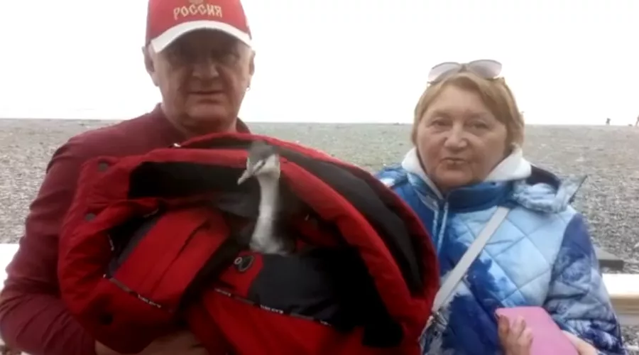  &copy;&nbsp;Фото пресс-службы Сочинского нацпарка