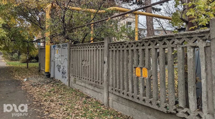  &copy;&nbsp;Фото Александры Прохоренковой-Аксеновой, Юга.ру