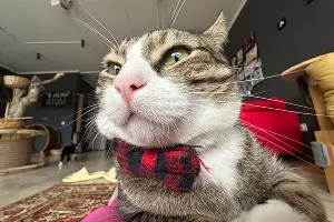  &copy;&nbsp;Фото Ангелины Тарановой