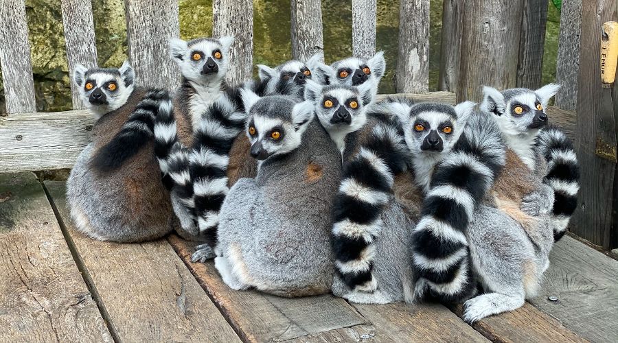  © Фото Victoria Bragg, unsplash.com