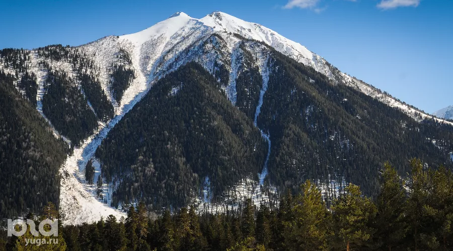  &copy;&nbsp;Фото Елены Синеок, Юга.ру