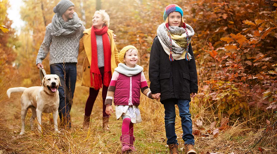  &copy;&nbsp;Фото GPoint Studio, freepik.com