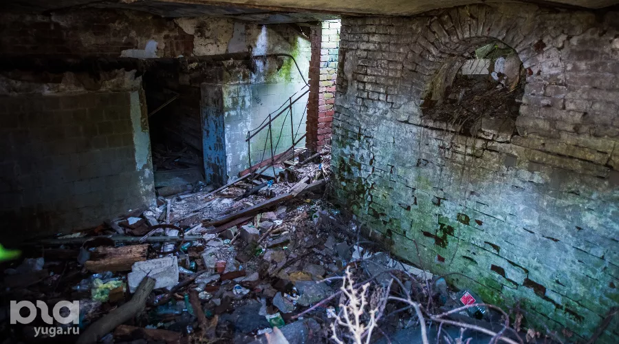  &copy;&nbsp;Фото Елены Синеок, Юга.ру