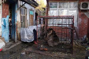  © Фото пресс-службы администрации Краснодара