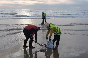  &copy;&nbsp;Фото Полины Безверхой, Юга.ру