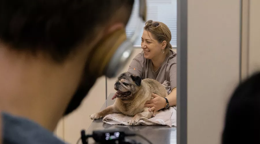 Ветеринарный центр «ВотВЕТе» в Ростове-на-Дону &copy;&nbsp;Фото Сергея Верещак