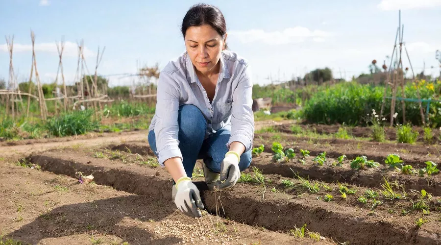 огород &copy;&nbsp;Изображение сгенерировано нейросетью Gigachat