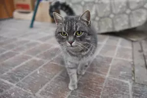 Инна Цукахины &copy;&nbsp;Фото Елены Синеок, Юга.ру