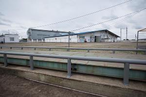 Открытие клиентского центра «Еврохим» в станице Старовеличковской © Фото Елены Синеок, Юга.ру